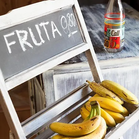 Bed and Breakfast La Rosa Del Agua